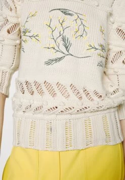 CLAUDIE PIERLOT Meliana - Pullover - Ecru -Claudie Pierlot Mode df8e1c9e63894581a6e6a3626f8c9896